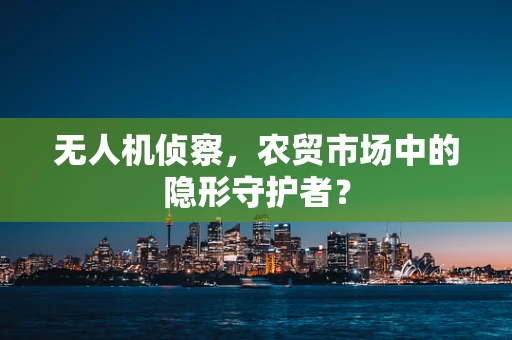 无人机侦察，农贸市场中的隐形守护者？
