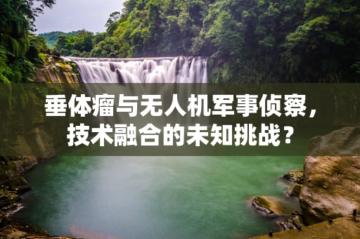 垂体瘤与无人机军事侦察，技术融合的未知挑战？
