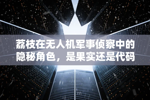 荔枝在无人机军事侦察中的隐秘角色，是果实还是代码？