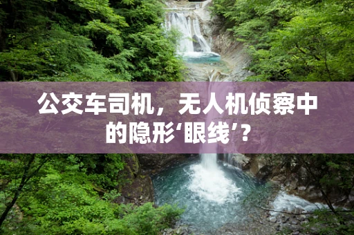 公交车司机，无人机侦察中的隐形‘眼线’？