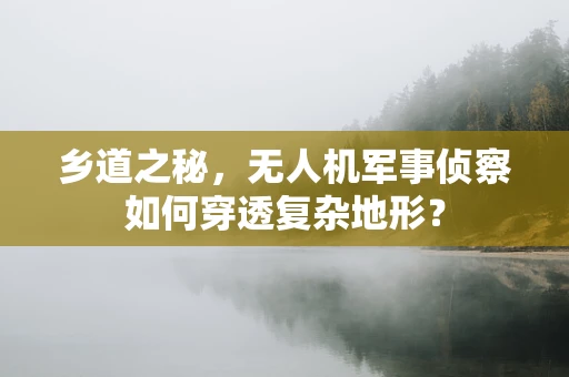 乡道之秘，无人机军事侦察如何穿透复杂地形？