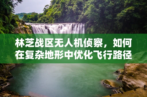 林芝战区无人机侦察，如何在复杂地形中优化飞行路径？