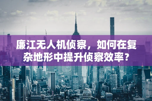 廉江无人机侦察，如何在复杂地形中提升侦察效率？