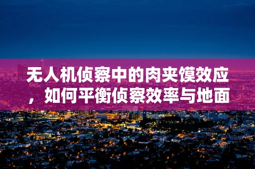 无人机侦察中的肉夹馍效应，如何平衡侦察效率与地面目标保护？