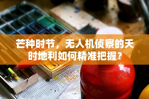 芒种时节，无人机侦察的天时地利如何精准把握？