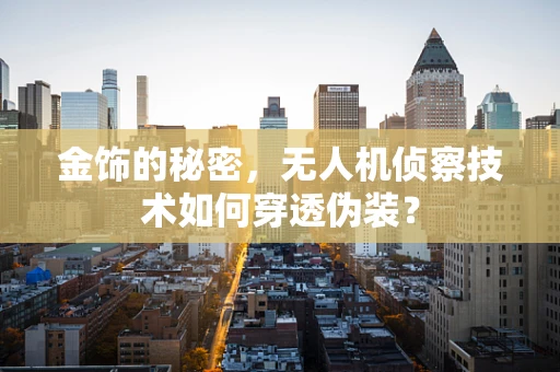 金饰的秘密，无人机侦察技术如何穿透伪装？