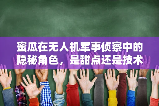 蜜瓜在无人机军事侦察中的隐秘角色，是甜点还是技术突破的钥匙？