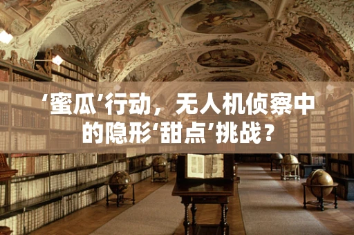 ‘蜜瓜’行动，无人机侦察中的隐形‘甜点’挑战？