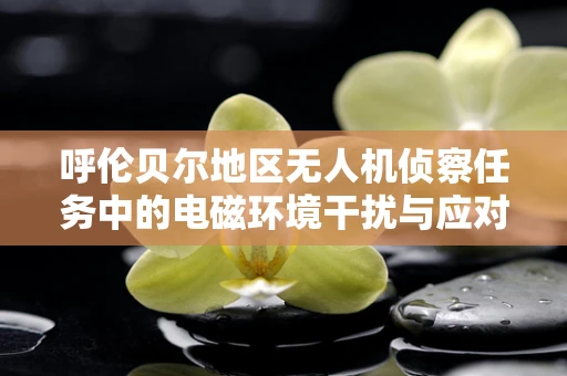 呼伦贝尔地区无人机侦察任务中的电磁环境干扰与应对策略