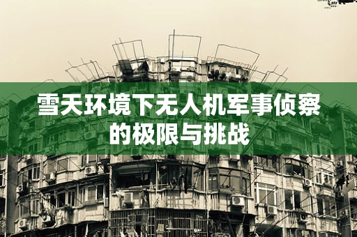 雪天环境下无人机军事侦察的极限与挑战