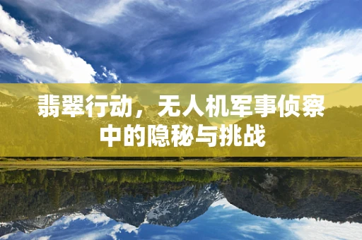 翡翠行动，无人机军事侦察中的隐秘与挑战