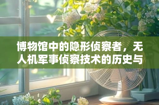 博物馆中的隐形侦察者，无人机军事侦察技术的历史与未来