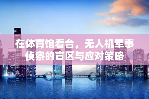 在体育馆看台，无人机军事侦察的盲区与应对策略