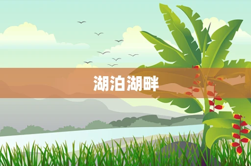 湖泊湖畔