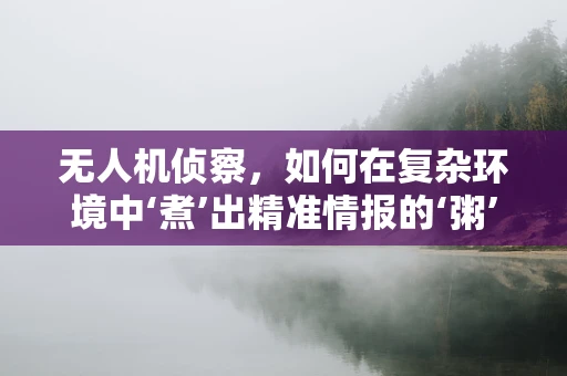 无人机侦察，如何在复杂环境中‘煮’出精准情报的‘粥’？