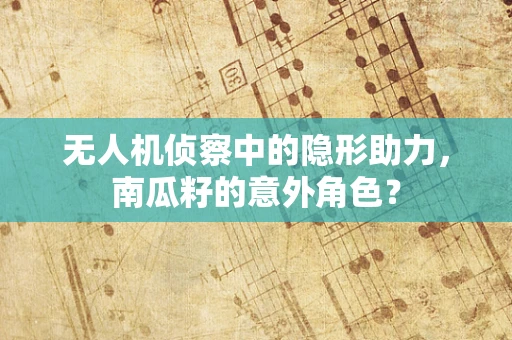 无人机侦察中的隐形助力，南瓜籽的意外角色？