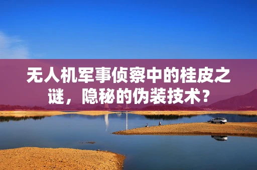 无人机军事侦察中的桂皮之谜，隐秘的伪装技术？