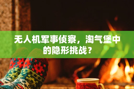 无人机军事侦察，淘气堡中的隐形挑战？