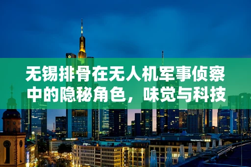 无锡排骨在无人机军事侦察中的隐秘角色，味觉与科技的跨界融合？