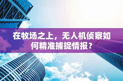 在牧场之上，无人机侦察如何精准捕捉情报？