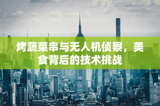 烤蔬菜串与无人机侦察，美食背后的技术挑战