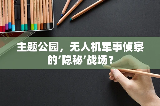 主题公园，无人机军事侦察的‘隐秘’战场？
