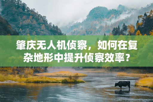 肇庆无人机侦察，如何在复杂地形中提升侦察效率？