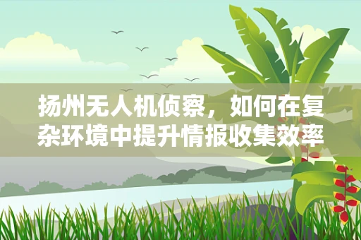 扬州无人机侦察，如何在复杂环境中提升情报收集效率？