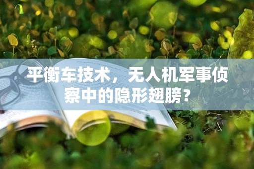 平衡车技术，无人机军事侦察中的隐形翅膀？