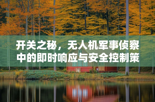 开关之秘，无人机军事侦察中的即时响应与安全控制策略