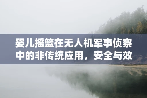 婴儿摇篮在无人机军事侦察中的非传统应用，安全与效能的平衡？