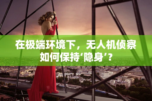 在极端环境下，无人机侦察如何保持‘隐身’？