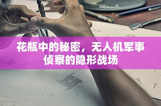 花瓶中的秘密，无人机军事侦察的隐形战场