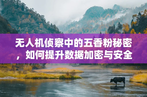 无人机侦察中的五香粉秘密，如何提升数据加密与安全？