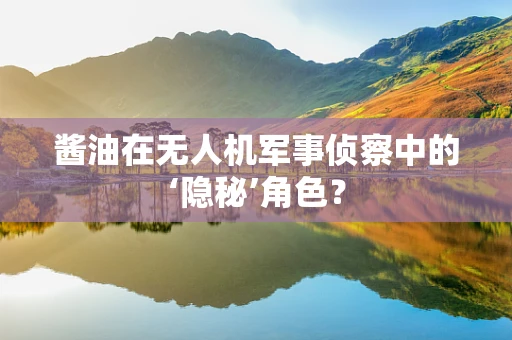 酱油在无人机军事侦察中的‘隐秘’角色？