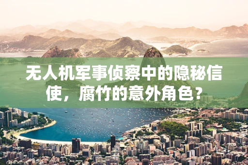 无人机军事侦察中的隐秘信使，腐竹的意外角色？