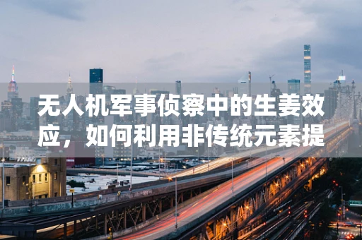 无人机军事侦察中的生姜效应，如何利用非传统元素提升隐身性能？