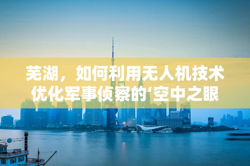 芜湖，如何利用无人机技术优化军事侦察的‘空中之眼’？