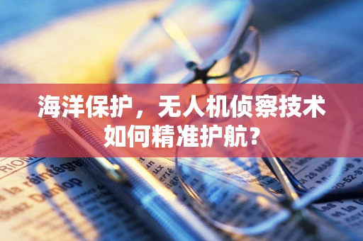 海洋保护，无人机侦察技术如何精准护航？