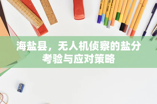 海盐县，无人机侦察的盐分考验与应对策略