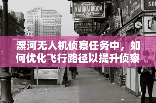 漯河无人机侦察任务中，如何优化飞行路径以提升侦察效率？