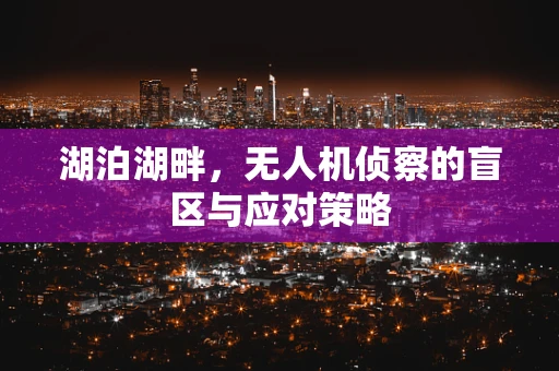 湖泊湖畔，无人机侦察的盲区与应对策略