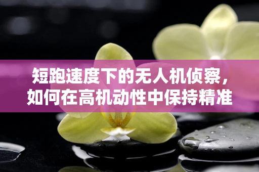 短跑速度下的无人机侦察，如何在高机动性中保持精准？