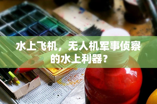 水上飞机，无人机军事侦察的水上利器？