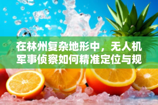 在林州复杂地形中，无人机军事侦察如何精准定位与规避障碍？