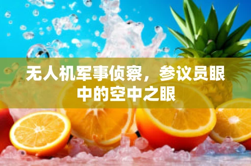 无人机军事侦察，参议员眼中的空中之眼