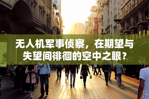 无人机军事侦察，在期望与失望间徘徊的空中之眼？