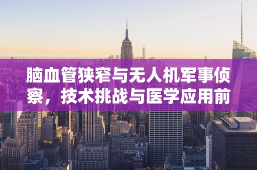 脑血管狭窄与无人机军事侦察，技术挑战与医学应用前景