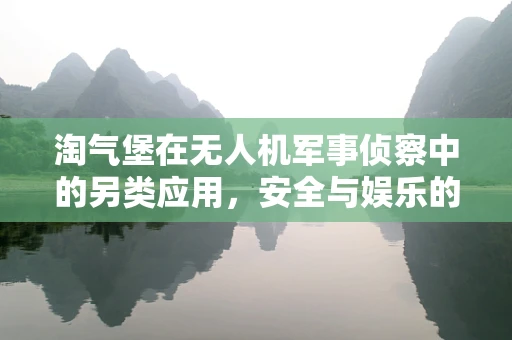 淘气堡在无人机军事侦察中的另类应用，安全与娱乐的巧妙结合