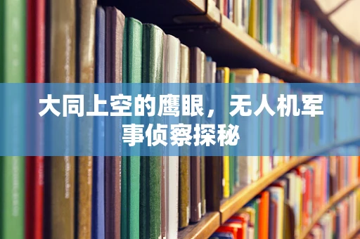 大同上空的鹰眼，无人机军事侦察探秘
